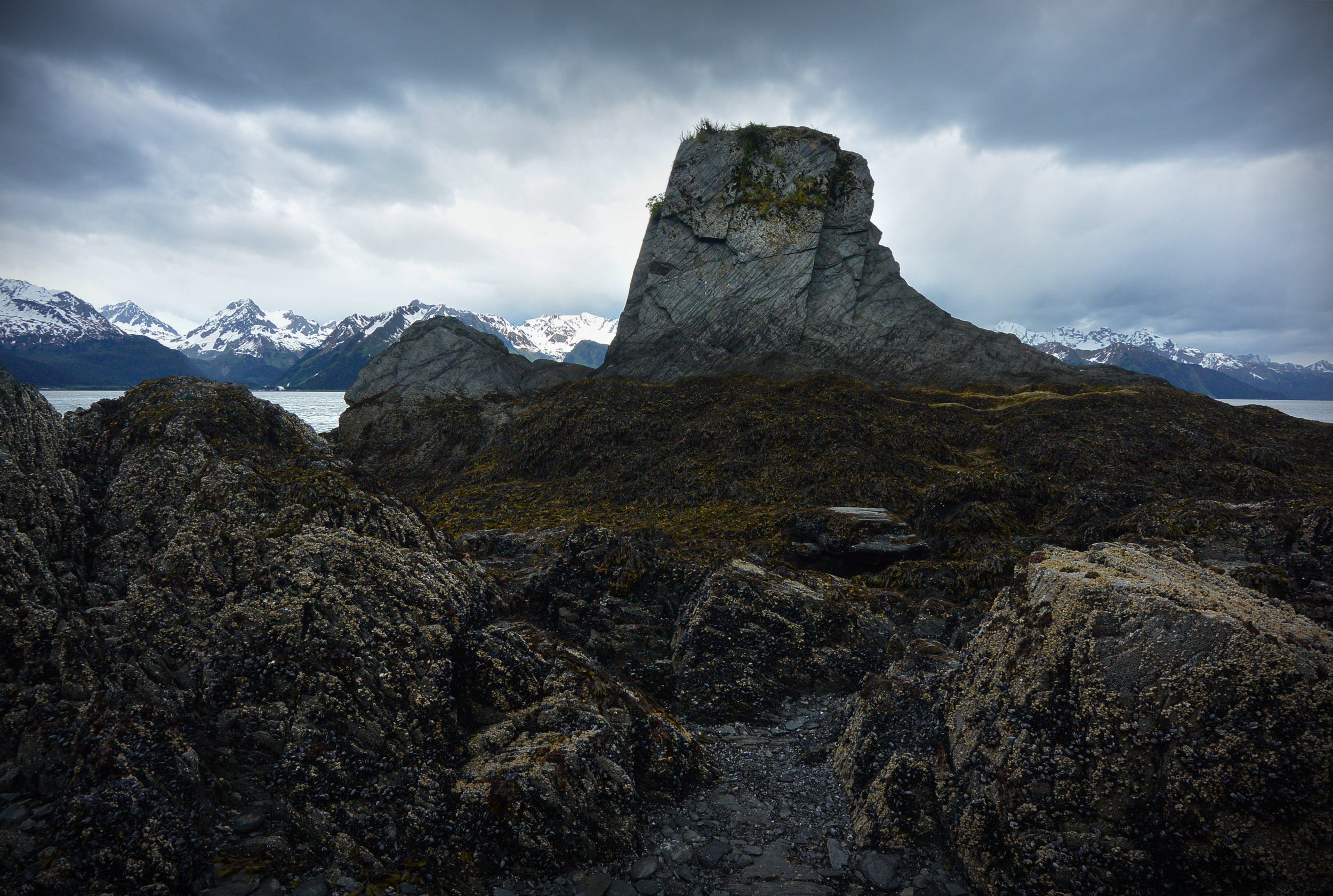 Bedrock outcropping near Seward