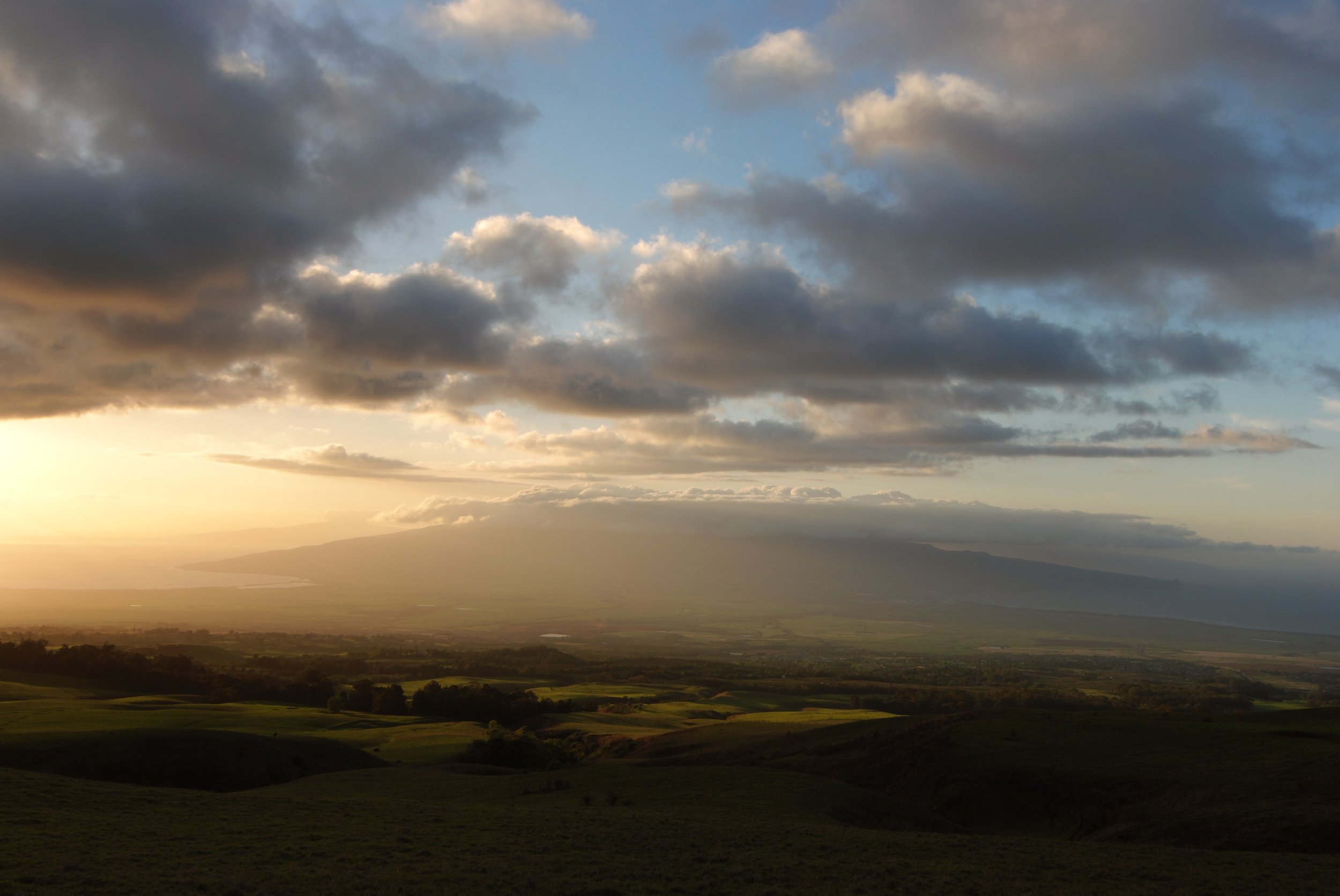Maui