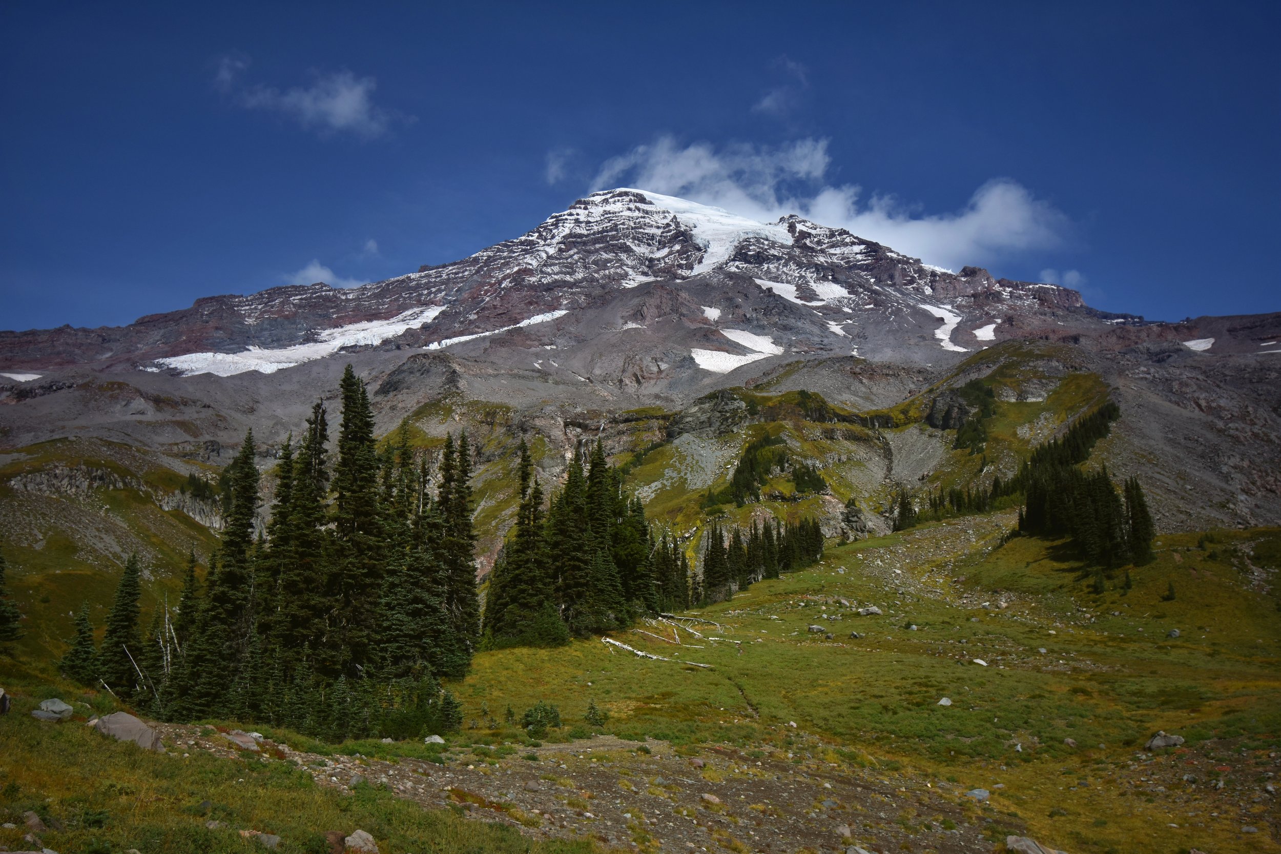 Tahoma / Mount Rainier National Park