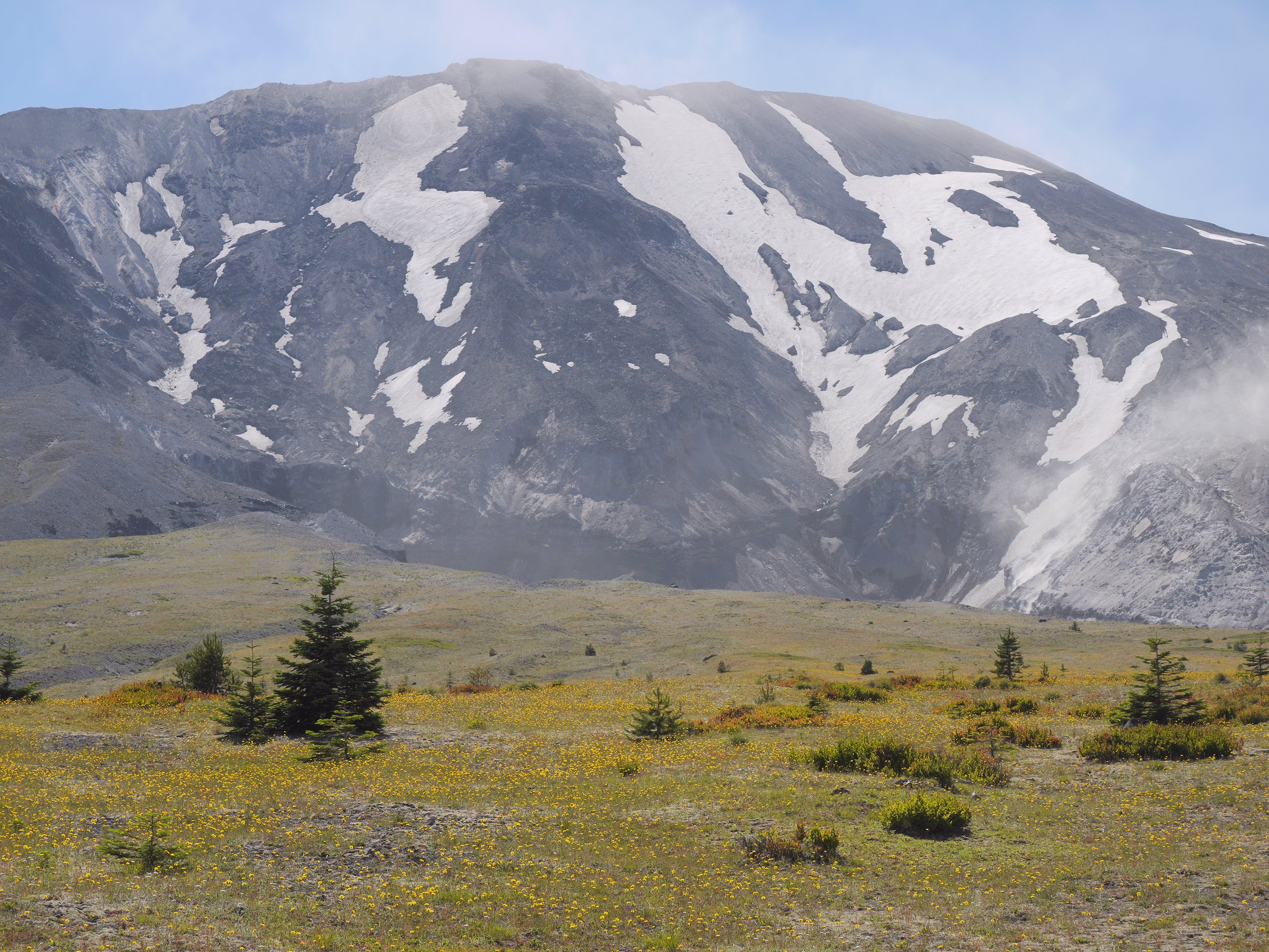 Yellow flower meadows below snowy slope