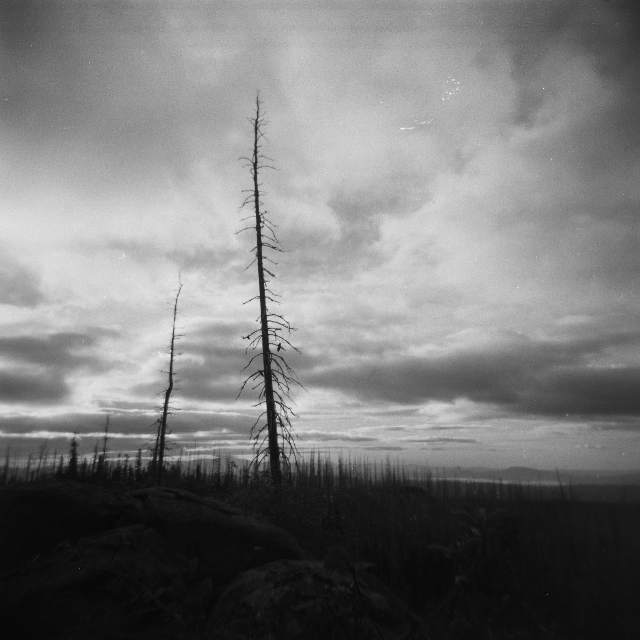 Burn on PCT