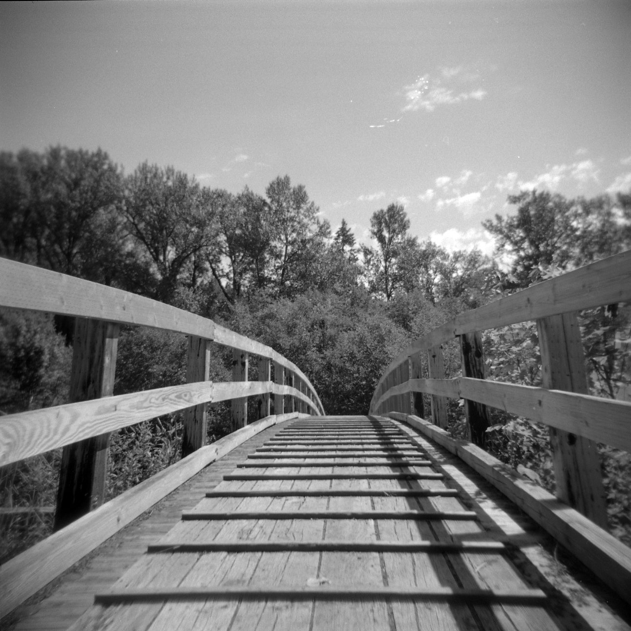Wooden arched bridge