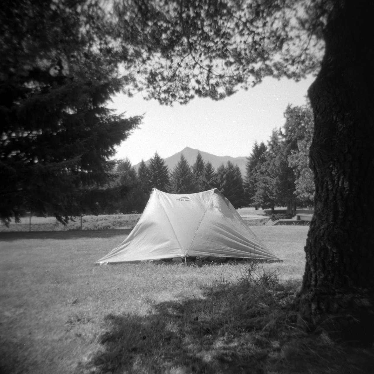Tarp tent in Cascade Locks