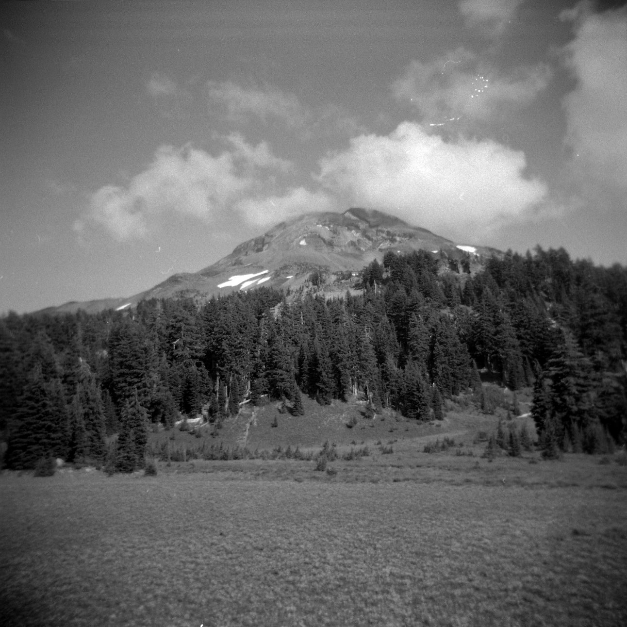 Meadow near Sisters peaks