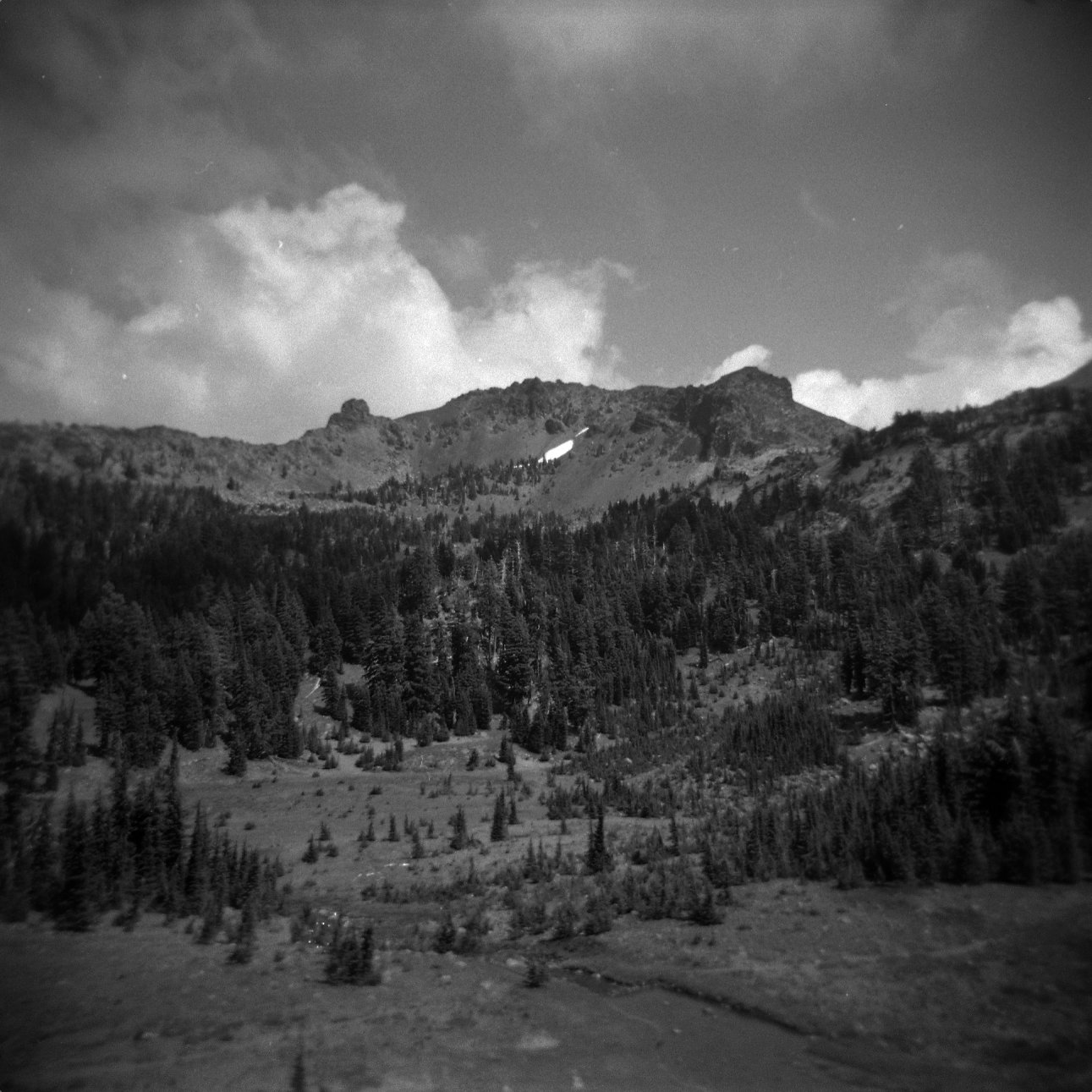 Meadow, forests, and mountains