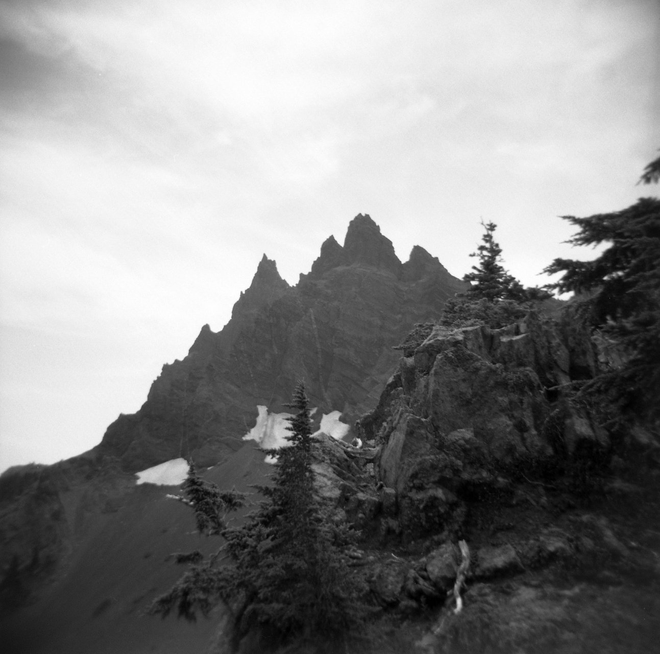 Three Fingered Jack