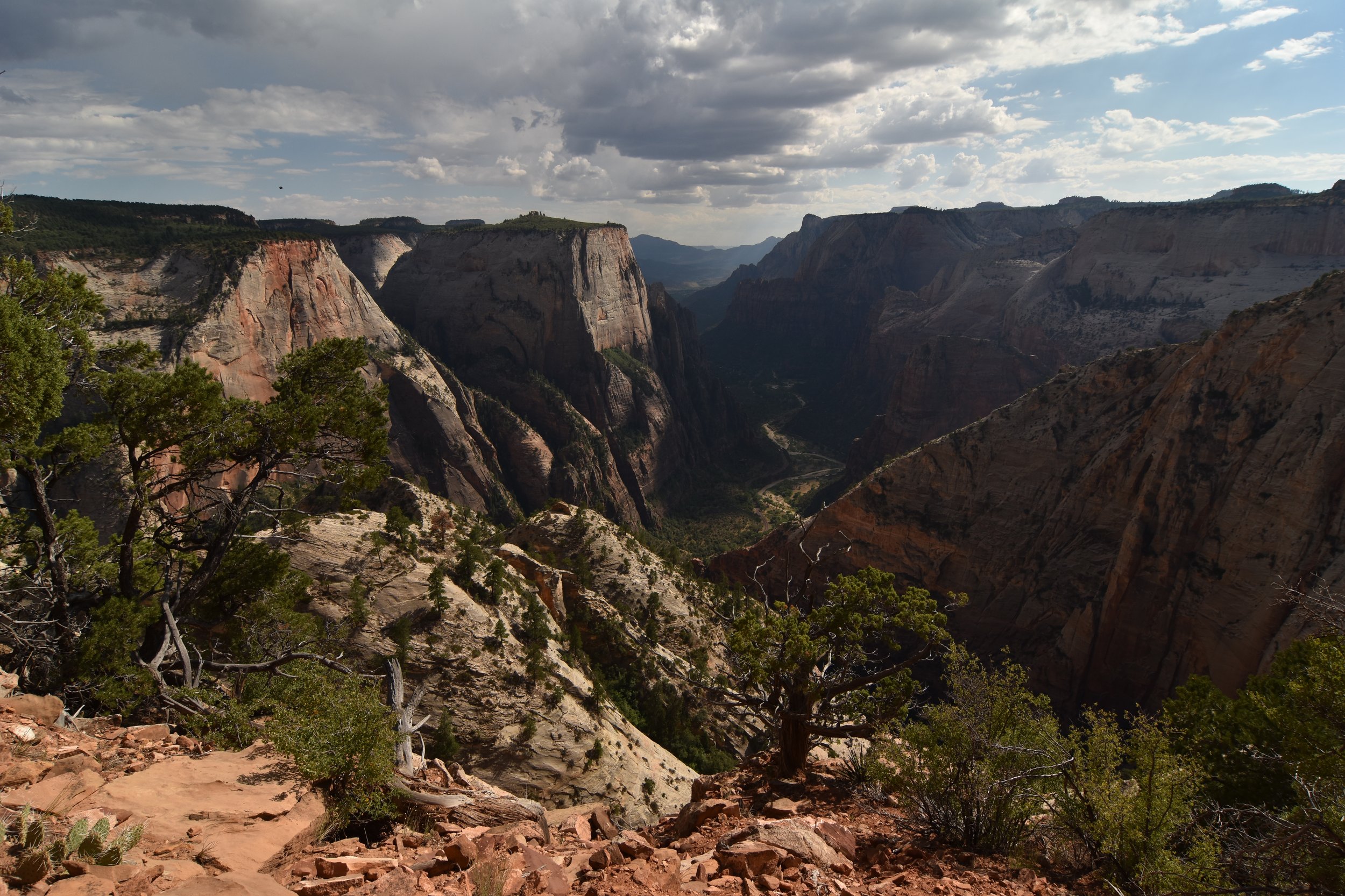 Looking into Zion Canyon