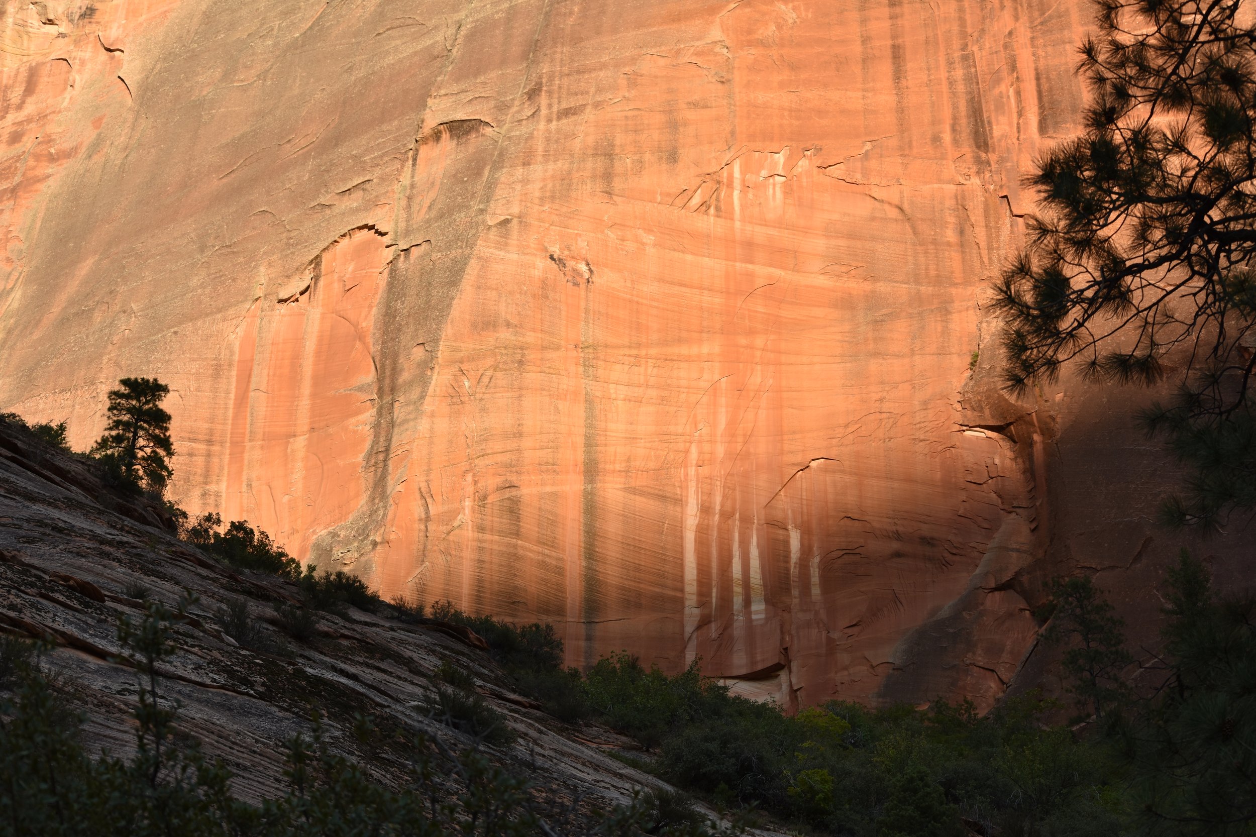Sandstone with desert varnish