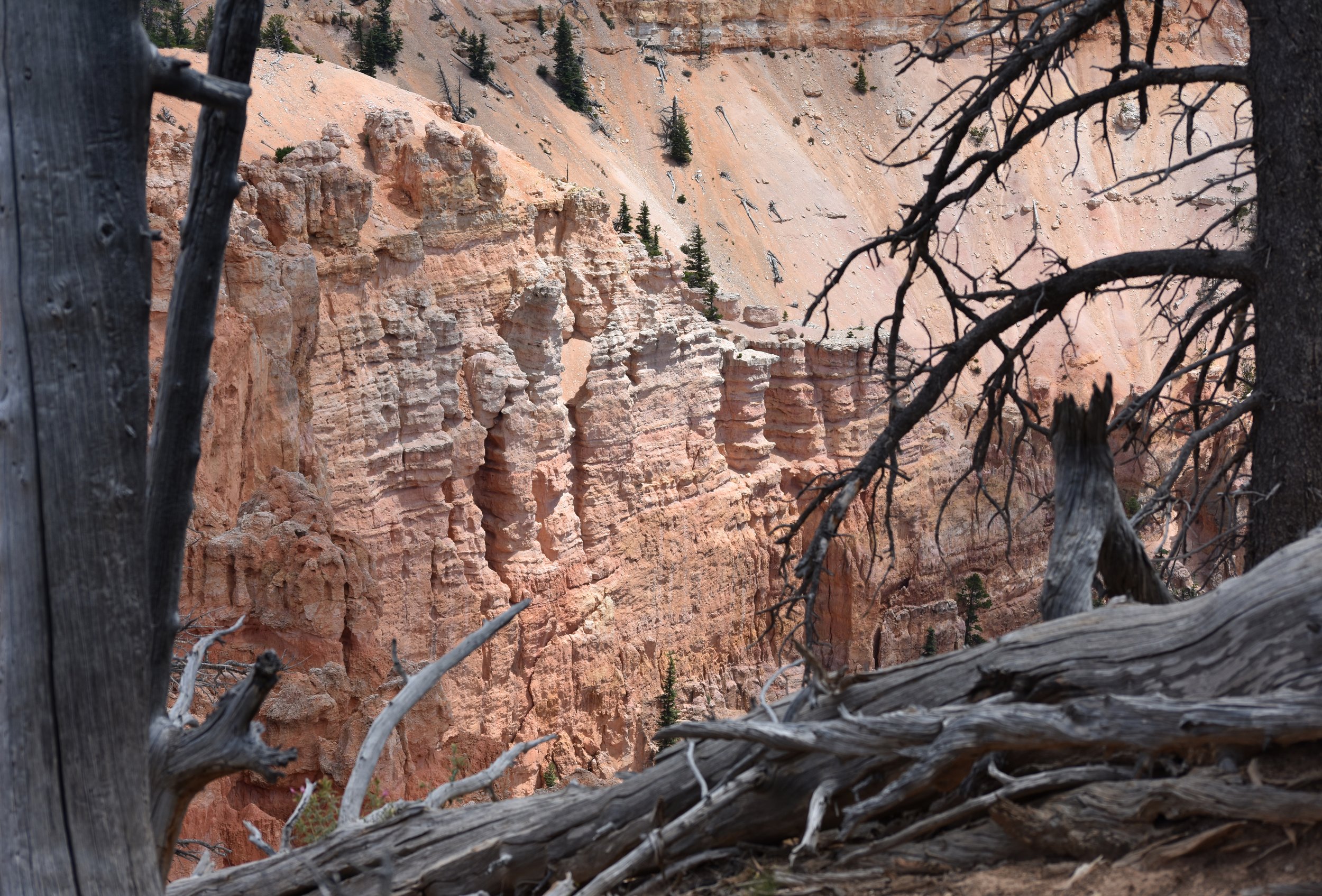 Bryce Canyon hoodoos
