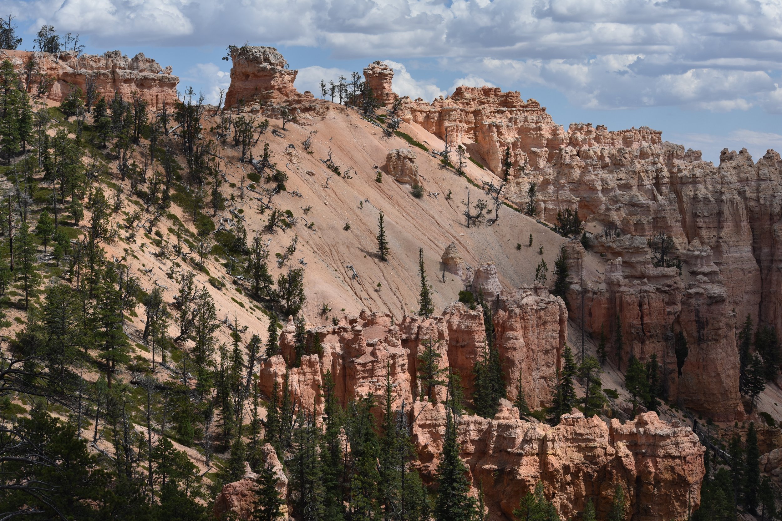 Bryce Canyon hill with hoodoos