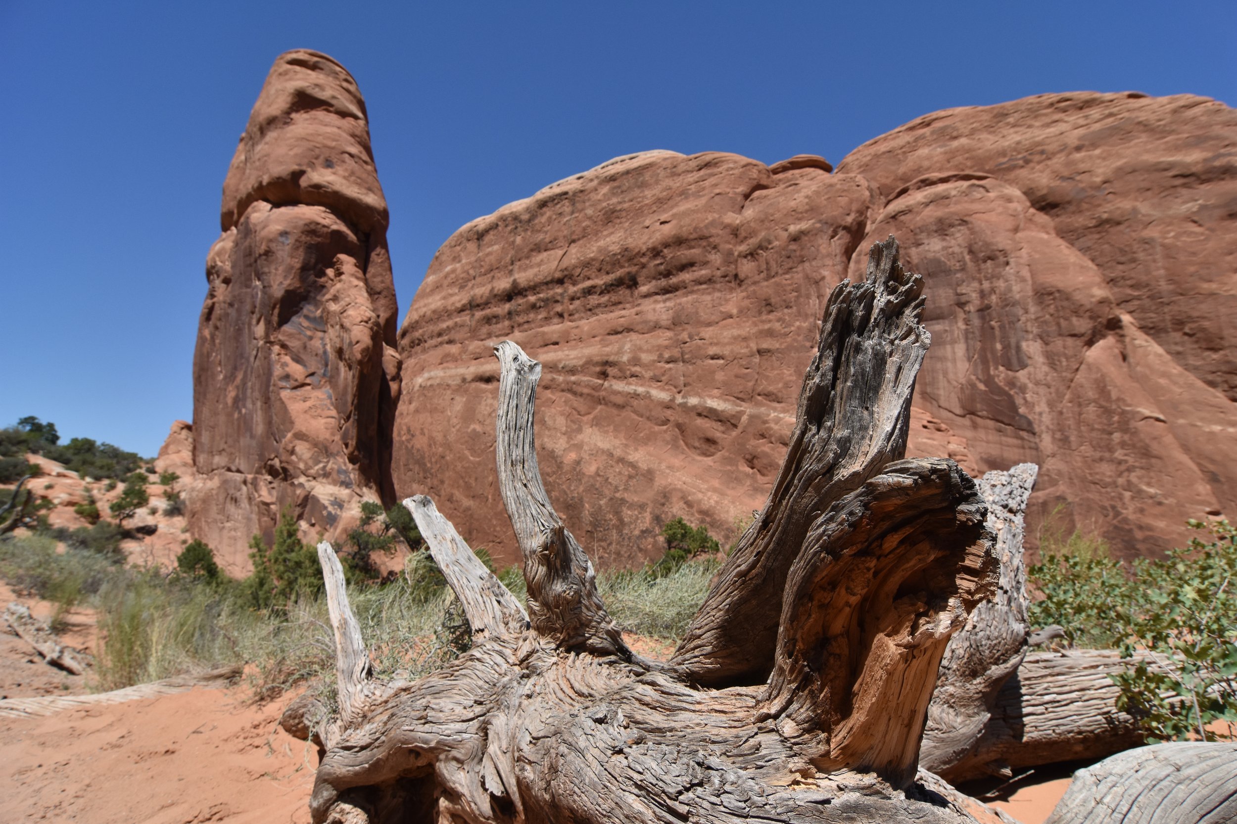 Canyon between fins in Arches