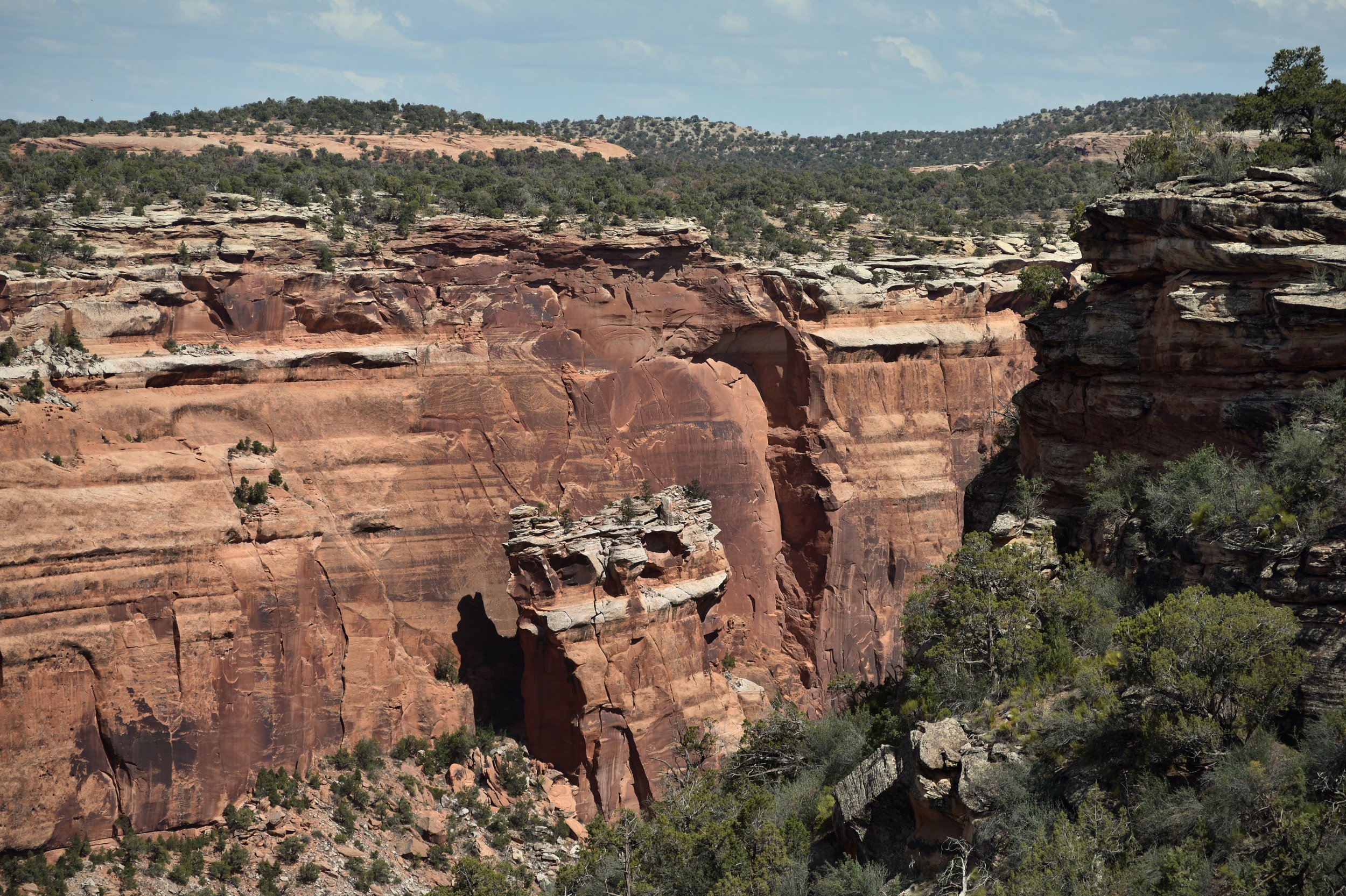 Deep canyon in Colorado National Monument