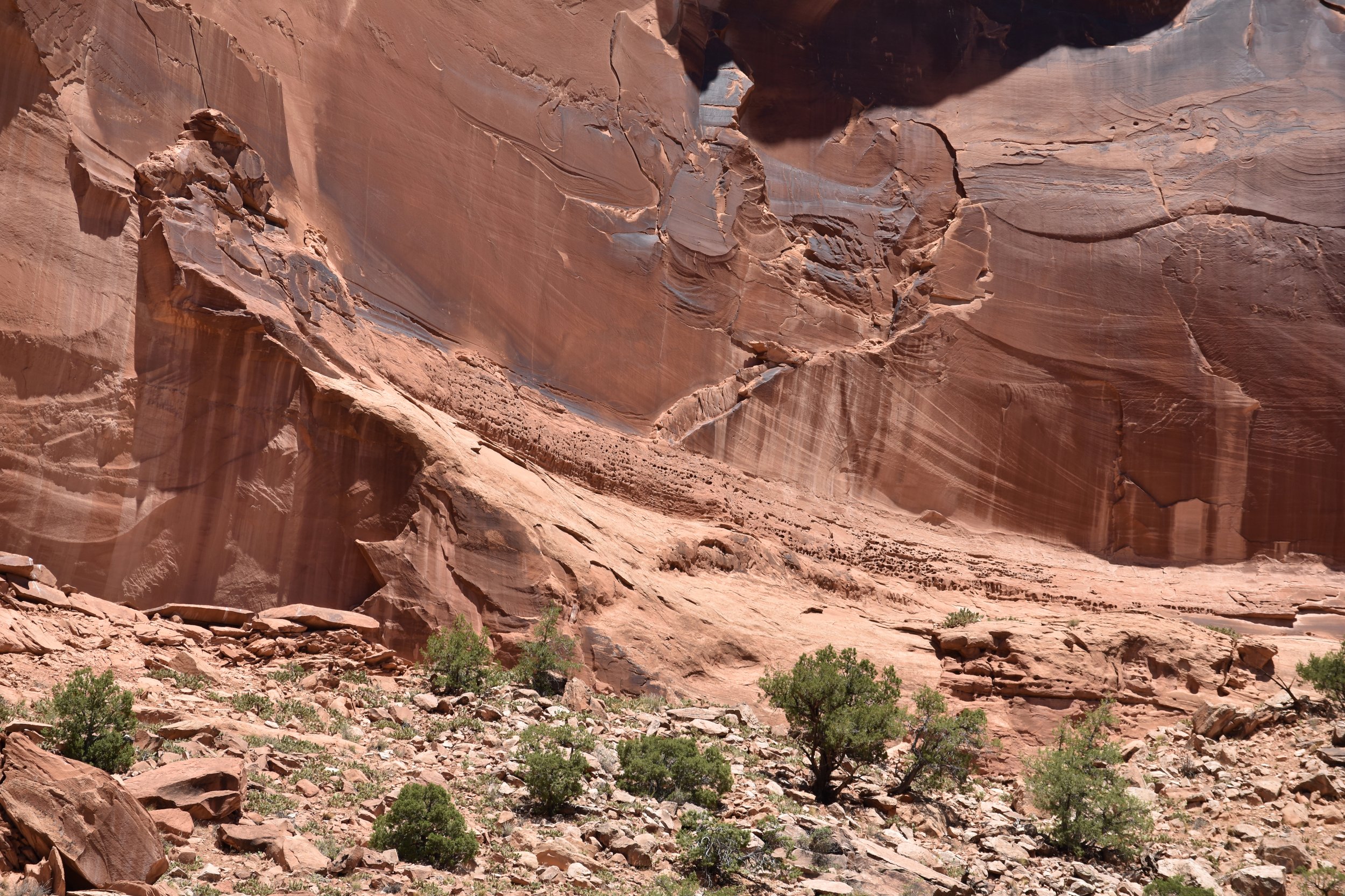Eroded sandstone canyon wall