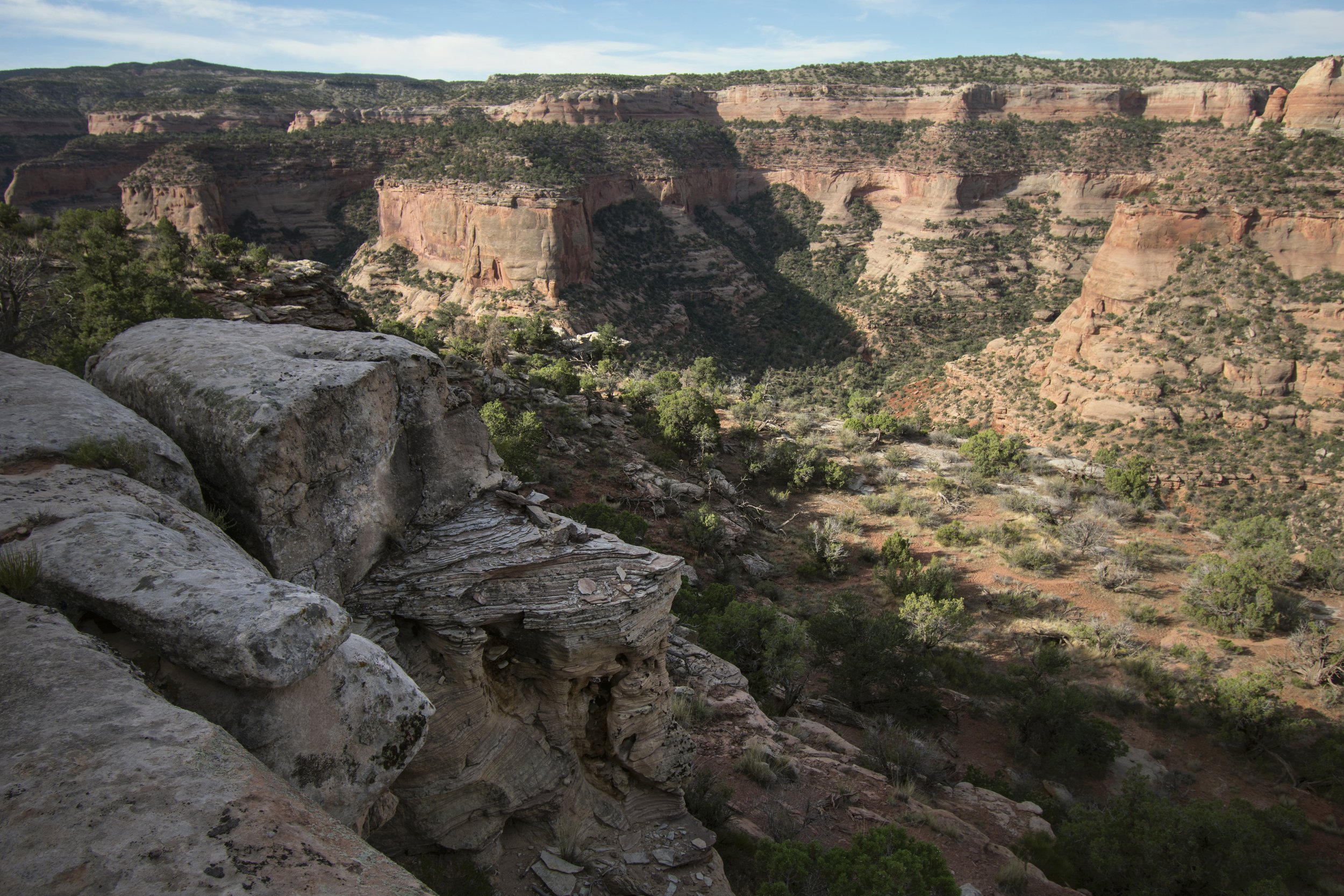 Valley with red sandstone walls