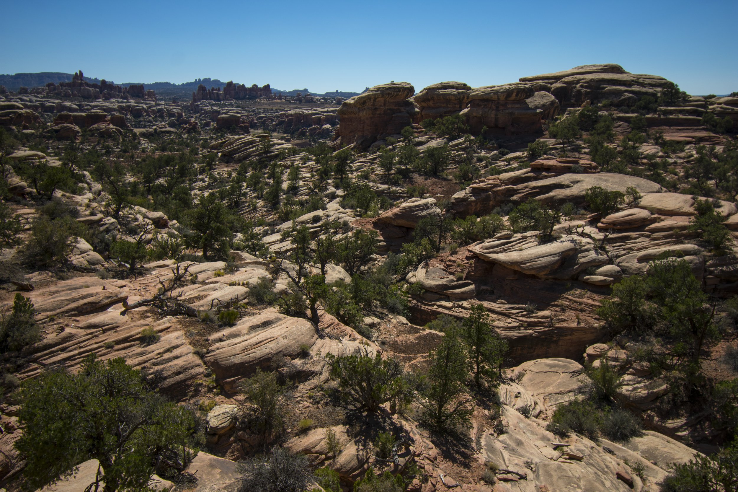 Jumbled sandstone landscape