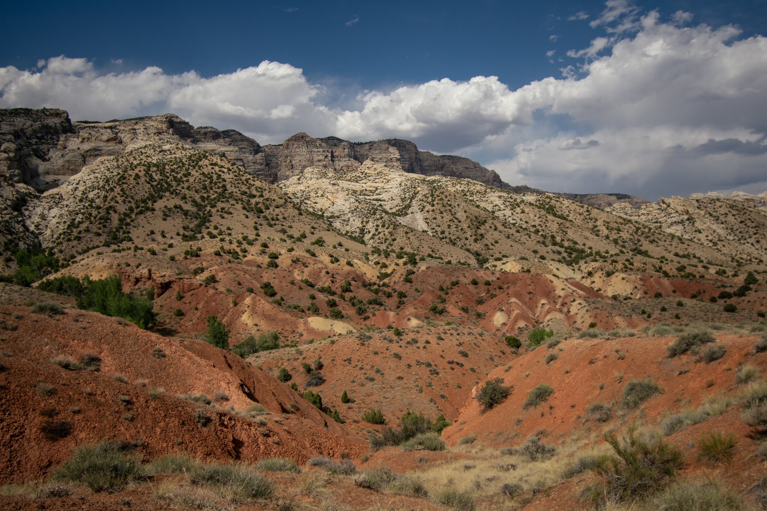 Red hills in Dinosaur National Monument